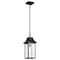 Nuvo Austen Outdoor Hanging Lantern 1 Light Matte Black Finish 60/5996 - alternate 1